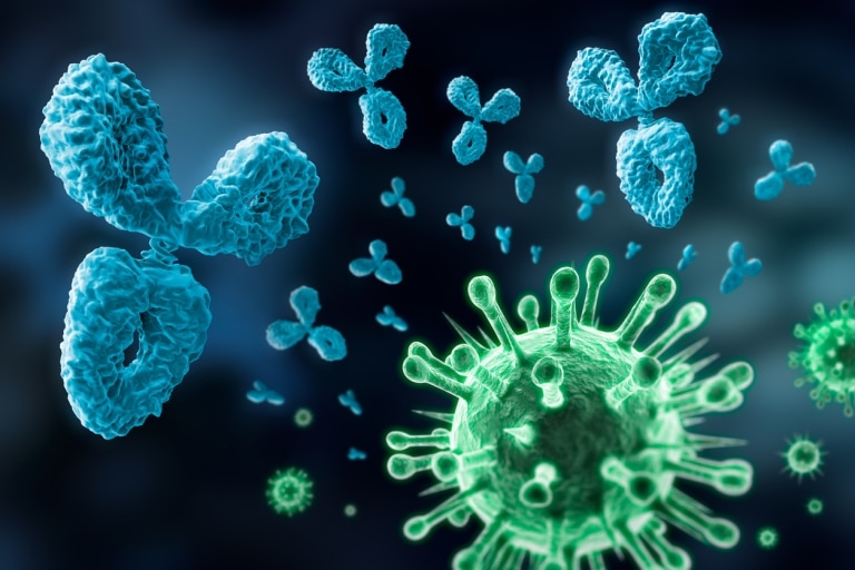 Visualisierung von Virus und Antikörpern